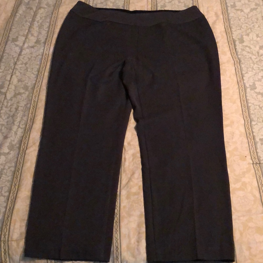 Investments Dressy Pants